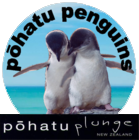 Pohatu Penguins