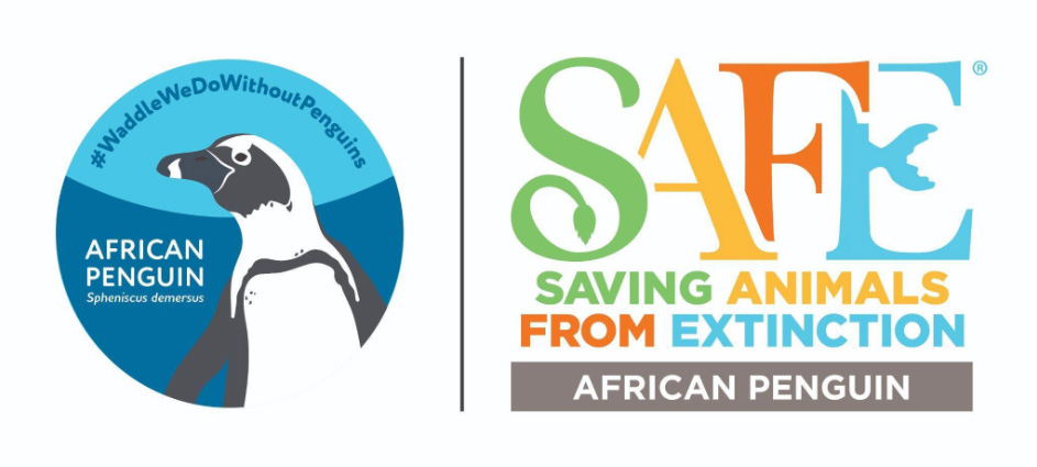 AZA SAFE African Penguin Program