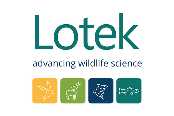 Lotek